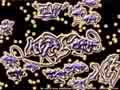 1024x768 - 161 kB
