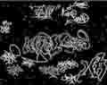 1024x810 - 131 kB